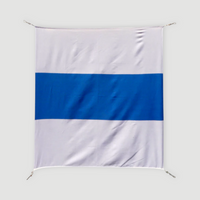 Schweizer Armee - Flagge - Zug