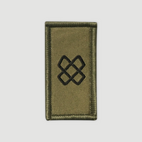 Troupes de la logistique - Insigne - Vert