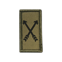 Forces spéciales - Insigne - Vert