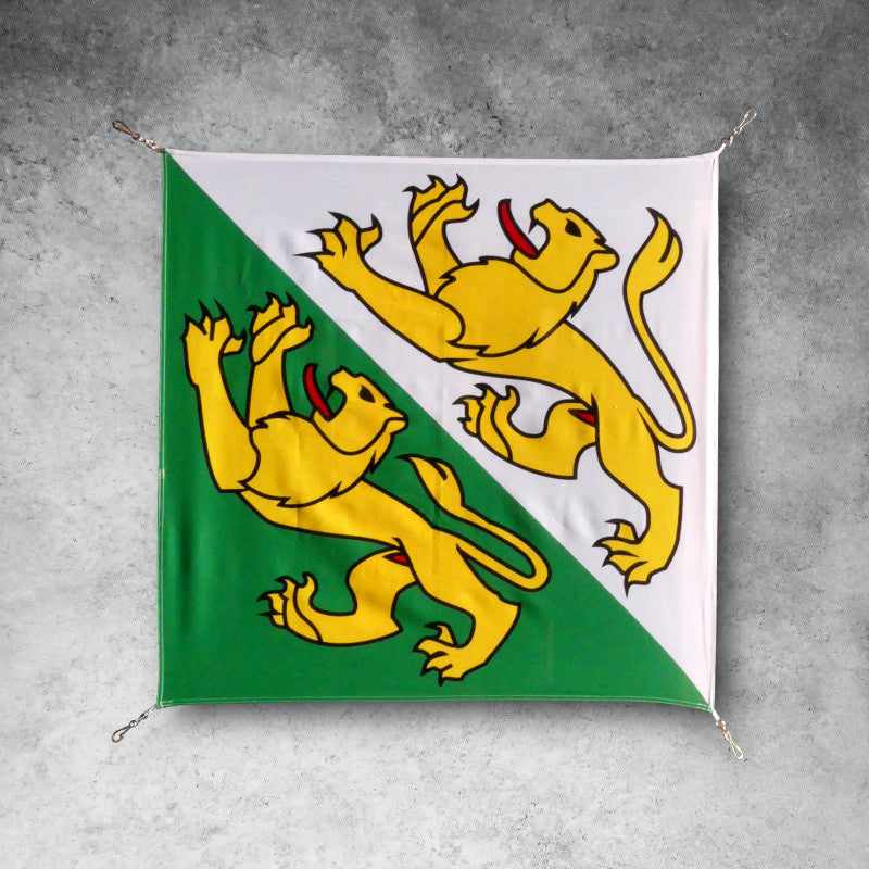 Schweizer Armee - Flagge - Thurgau 