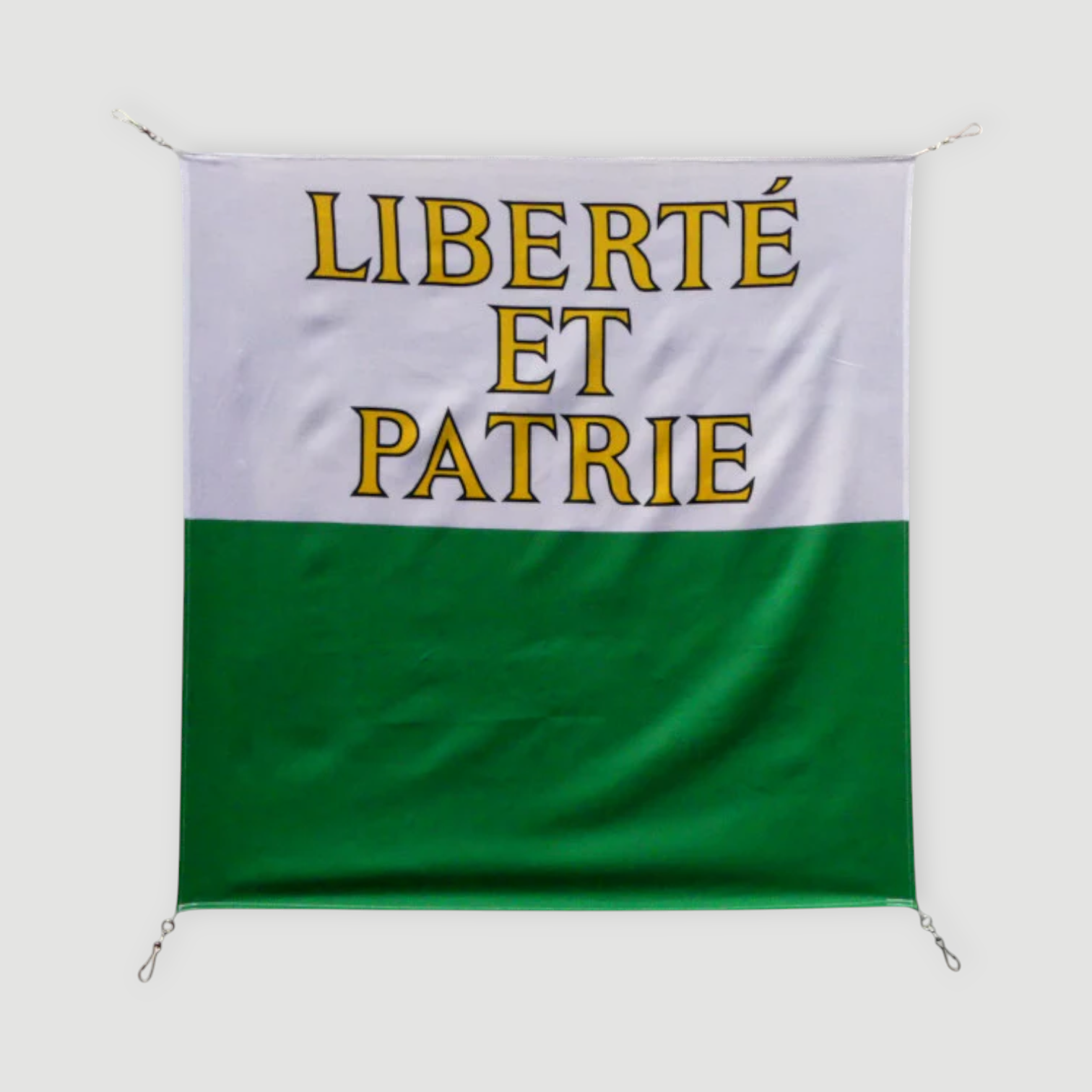 Drapeau - Vaud