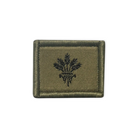 Soldat de ravitaillement - Insigne - Vert