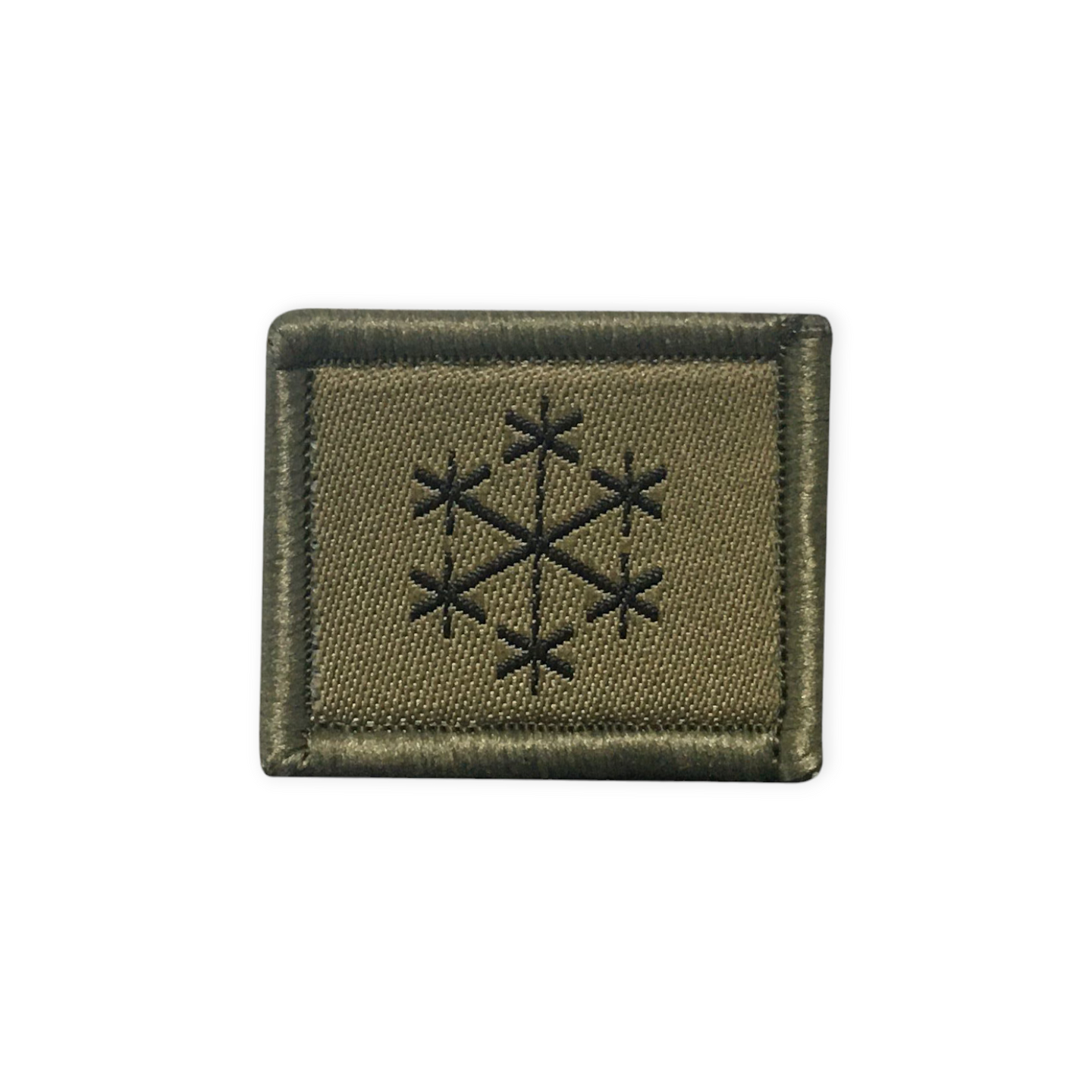 Soldat météorologue - Insigne - Vert