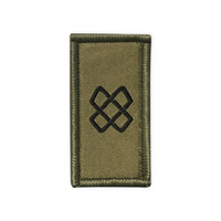 Troupes de la logistique - Insigne - Vert