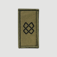 Troupes de la logistique - Insigne - Vert