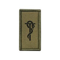 Troupes sanitaires - Insigne - Vert